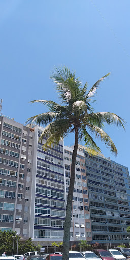 Melhores Hostels em Leme, Rio de Janeiro 2025